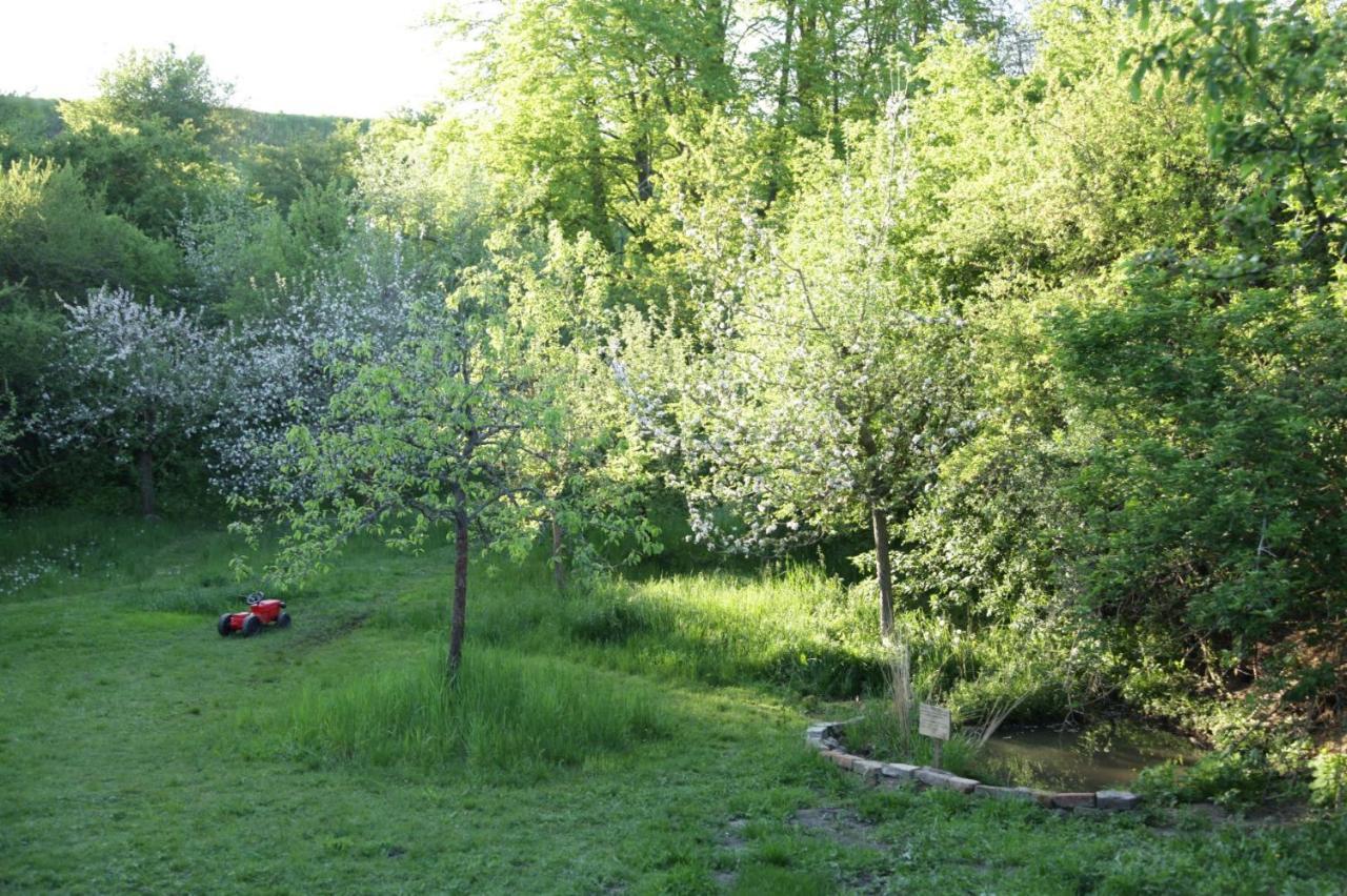 Grosse Wohnung / Haushaelfte In Peetzig Am See 안게르문데 외부 사진