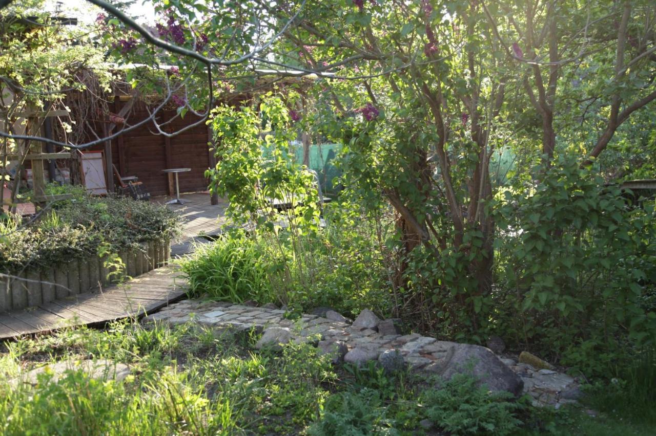 Grosse Wohnung / Haushaelfte In Peetzig Am See 안게르문데 외부 사진