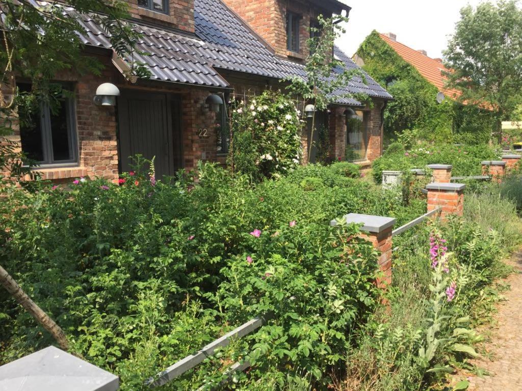 Grosse Wohnung / Haushaelfte In Peetzig Am See 안게르문데 외부 사진